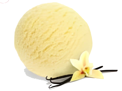 French Vanilla Bean